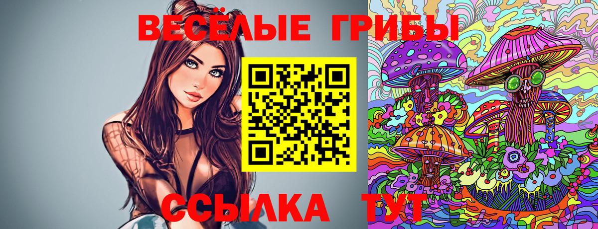 Псилоцибиновые грибы Magic Shrooms Нижний Новгород